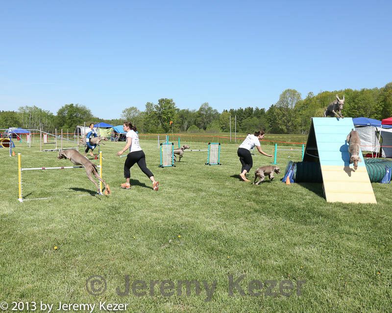 20130518-neatmc-0029.jpg