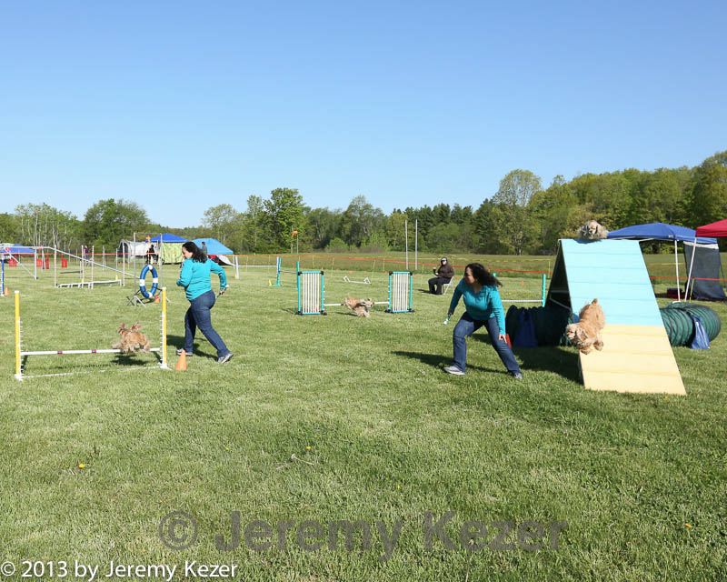 20130518-neatmc-0006.jpg
