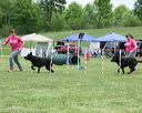 20130518-neatmc-0097