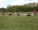 20130518-neatmc-0088