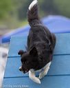 20130519-neat-0026