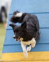 20130519-neat-0027