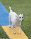 20130519-neat-0073