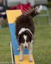 20130519-neat-0044