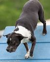 20130519-neat-0049