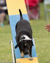 20130519-neat-0052