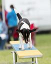 20130519-neat-0119