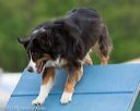 20130519-neat-0126