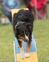 20130519-neat-0131