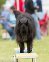 20130519-neat-0079