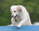 20130519-neat-0084