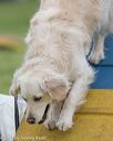20130519-neat-0087