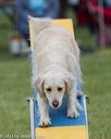 20130519-neat-0088