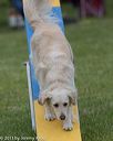 20130519-neat-0091