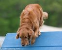 20130519-neat-0093