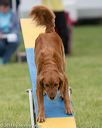 20130519-neat-0096