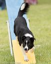 20130519-neat-0102