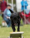 20130519-neat-0106