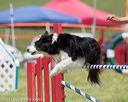 20130519-neat-0639