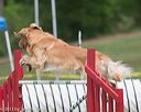 20130519-neat-0632