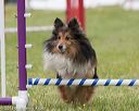 20130519-neat-0824