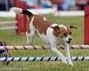 20130519-neat-0815