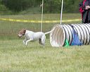 20130519-neat-0780
