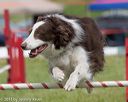 20130519-neat-0794