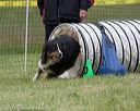 20130519-neat-0806