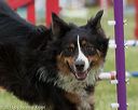 20130519-neat-0808