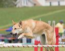 20130519-neat-0740
