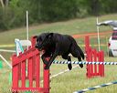 20130519-neat-0748