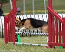 20130519-neat-0699