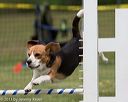 20130519-neat-0704
