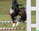 20130519-neat-0710