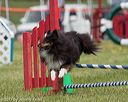 20130519-neat-0712