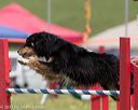 20130519-neat-0671