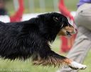 20130519-neat-0674