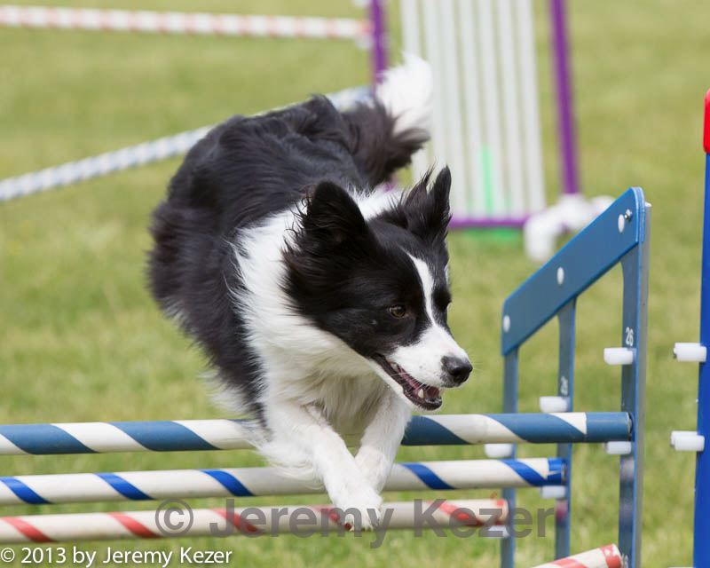 20130519-neat-0731.jpg