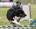 20130519-neat-0719