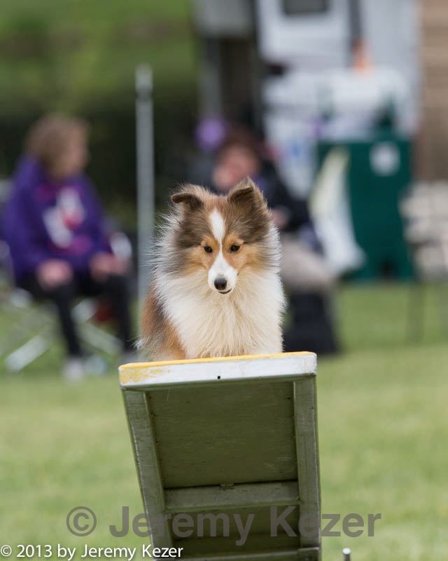 20130519-neat-0246.jpg