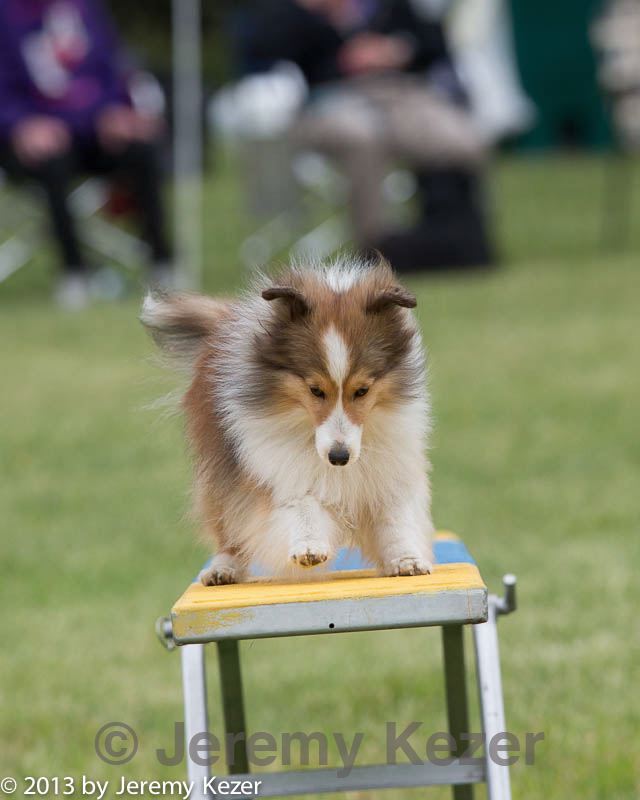 20130519-neat-0248.jpg