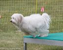 20130519-neat-0466