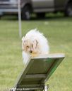 20130519-neat-0467