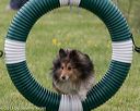 20130519-neat-0474