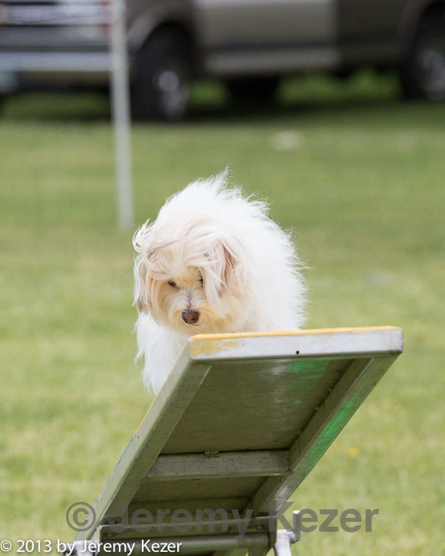 20130519-neat-0467.jpg