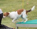 20130519-neat-0431