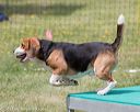 20130519-neat-0442