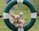 20130519-neat-0449