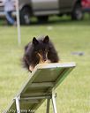 20130519-neat-0458